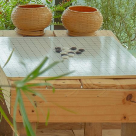 Cozy indoor scene featuring a Go game setup on wooden table, surrounded by lush houseplants.